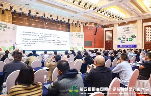 小種子撬動(dòng)大產(chǎn)業(yè) 第五屆邢臺國際十字花科蔬菜產(chǎn)業(yè)大會(huì)盛大啟幕